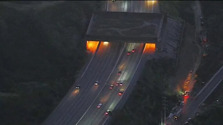 Agoura Road to Close Today for Wildlife Crossing Improvements