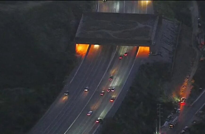 Agoura Road to Close Today for Wildlife Crossing Improvements
