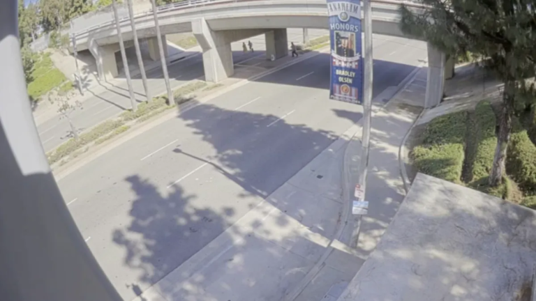 Anaheim Police Make Arrest in Attack on Mom and Teen with Help from Victim’s Phone Image