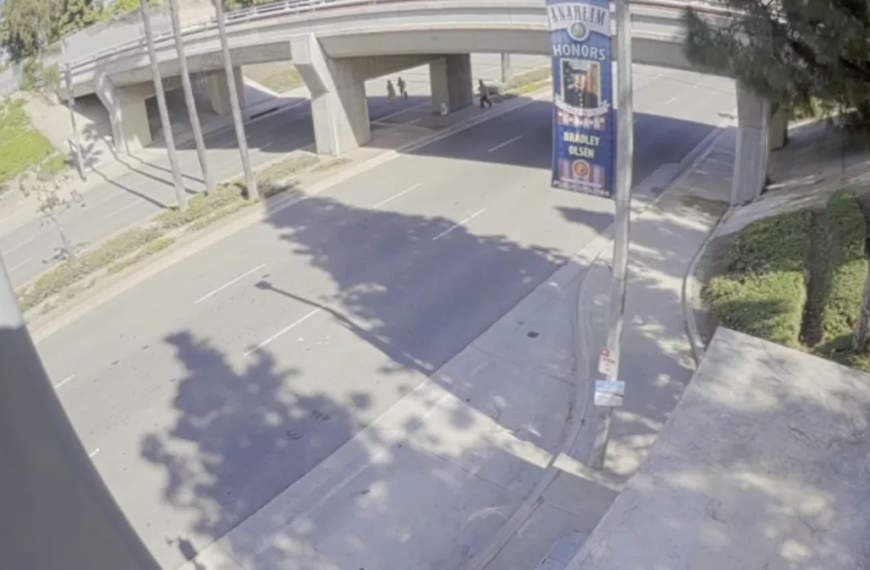 Anaheim Police Make Arrest in Attack on Mom and Teen with Help from Victim’s Phone Image