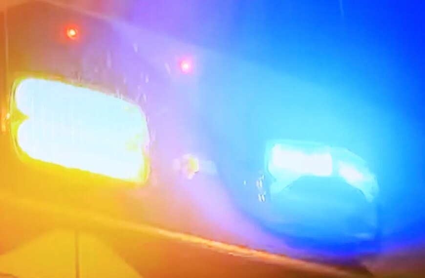 Bear Encounter Leaves Woman and Dog Injured in Monrovia