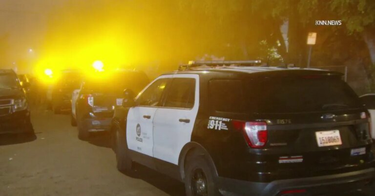 Body Discovered in South LA Alley Sparks Homicide Investigation