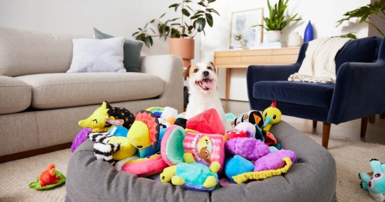 Bring Home Joy for Your Dog Every Month with a Year of Free Toys in This Subscription Box