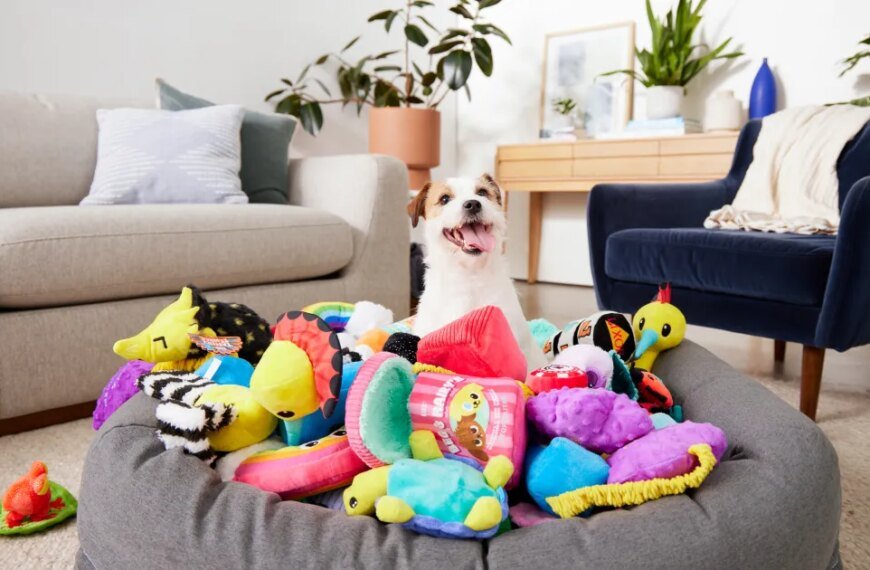 Bring Home Joy for Your Dog Every Month with a Year of Free Toys in This Subscription Box