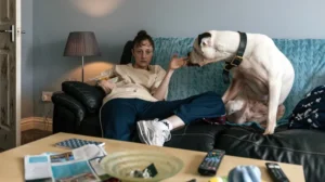 British Indie 'Dragonfly' Takes Home the Top Prize at the Fido Awards for Best in Show