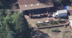 California Animal Rescue: 400 Dogs and 300 Cats Saved in Lake Hughes