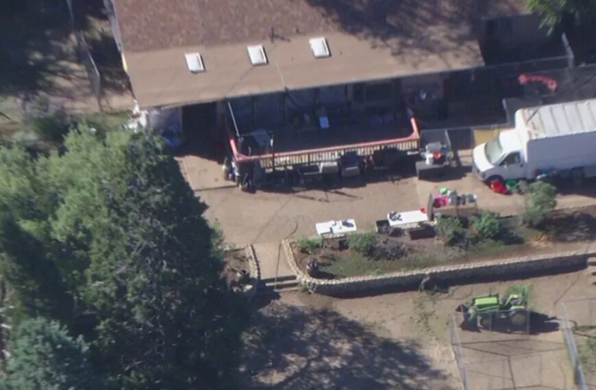 California Animal Rescue: 400 Dogs and 300 Cats Saved in Lake Hughes