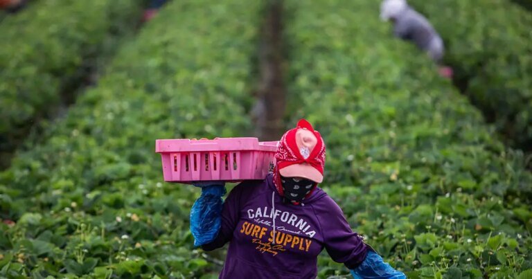California Celebrates Its First Farmworkers Day