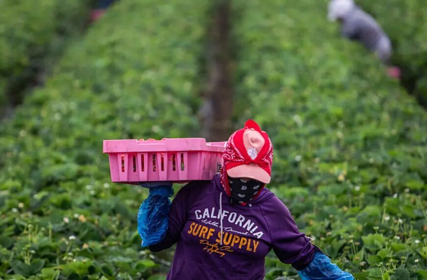 California Celebrates Its First Farmworkers Day