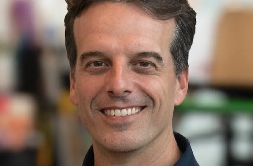 Cartoon Saloon, the Studio Behind 'The Breadwinner,' Welcomes a New CEO