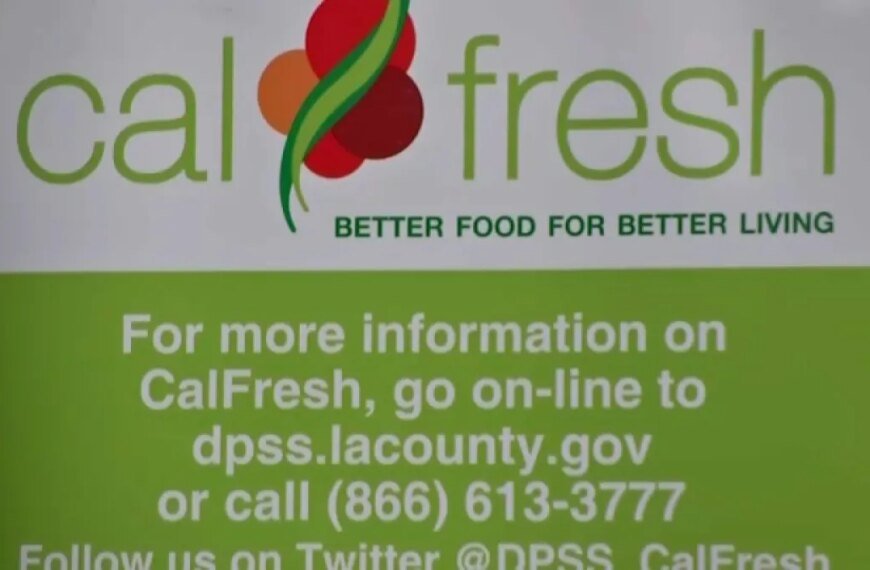 Changes to CalFresh Eligibility: Impact on Non-Citizens' Access to Benefits