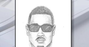 Community Rallies as Two Girls Escape from Locked Car in North Hills; Search for Suspect Ongoing