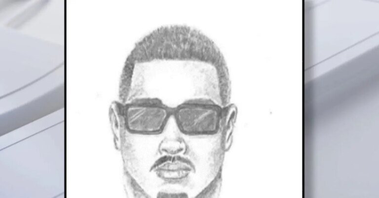 Community Rallies as Two Girls Escape from Locked Car in North Hills; Search for Suspect Ongoing