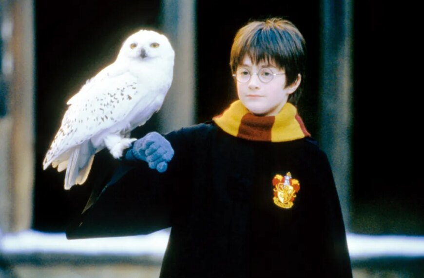 Cosm Announces Release Date and Trailer for the New 'Harry Potter' Experience in Shared Reality