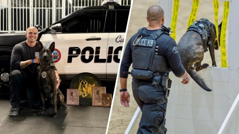 Culver City K-9 Unit Shines with Impressive Wins at Las Vegas Competition