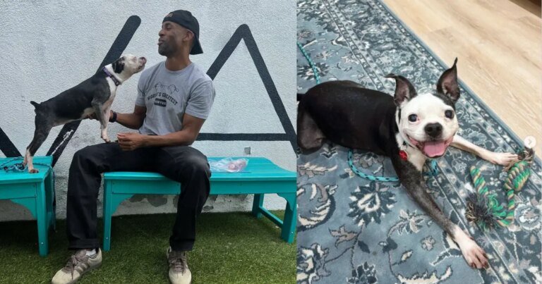 Dog Reunited with Owner in LA After Three Long Years Apart