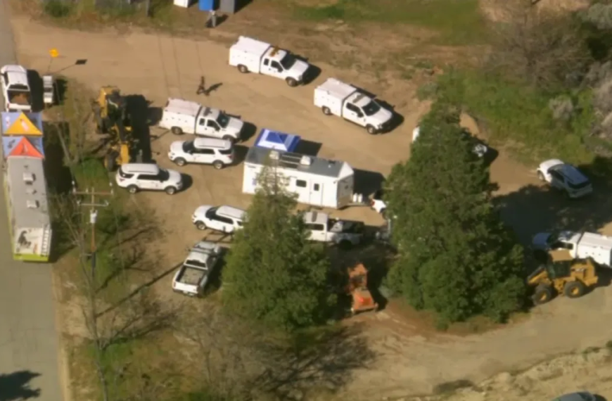 Efforts in Progress to Help 700 Dogs and Cats at Lake Hughes