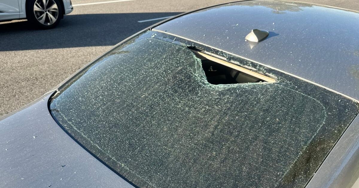 El Camino Real Pitcher Jackson Sellz Shares a Valuable Lesson on Parking His Car