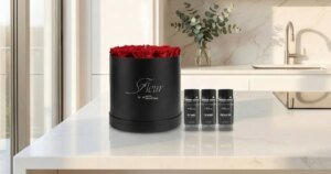 Enhance Your Home with This Beautiful Flower Box that Also Freshens the Air — Enjoy 43% Off!