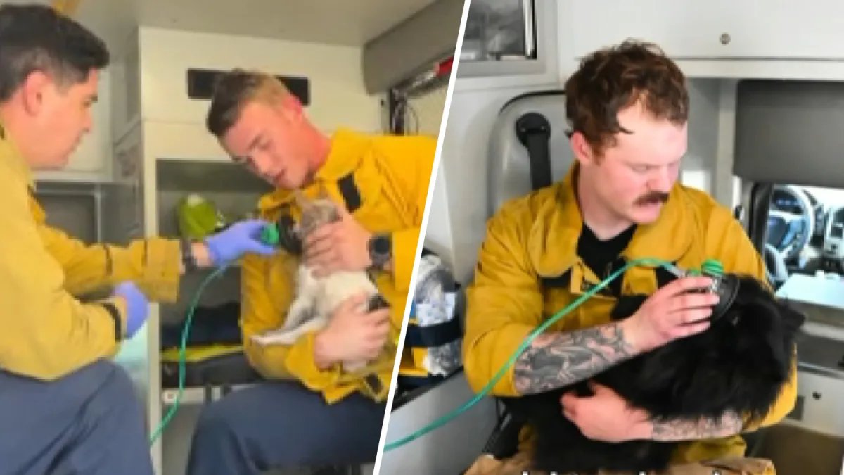 Firefighters Save Two Small Dogs from House Fire in La Verne