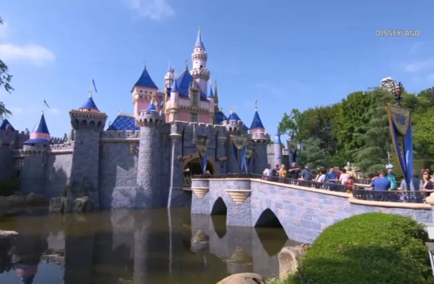 Five Disneyland Employees Taken to Hospital After Hazardous Materials Incident