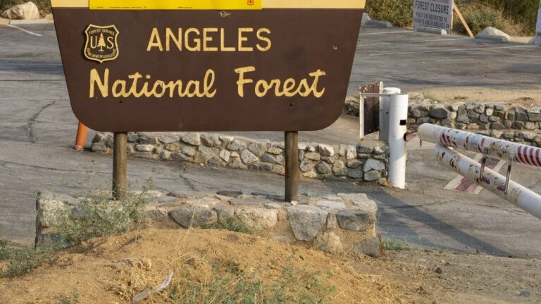 Hiker Tragically Loses Life After Fall into San Gabriel River on Bridge to Nowhere Trail