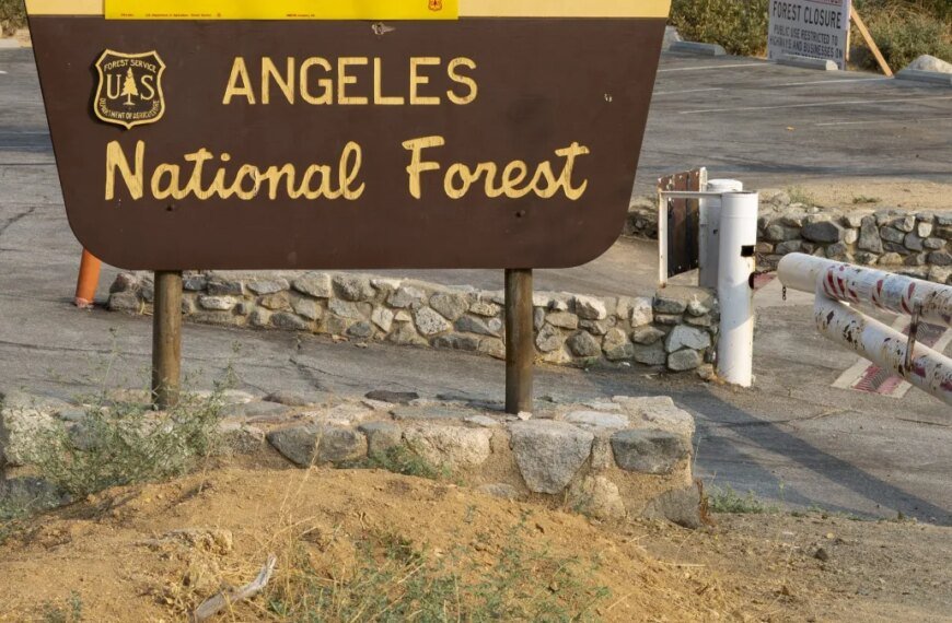 Hiker Tragically Loses Life After Fall into San Gabriel River on Bridge to Nowhere Trail