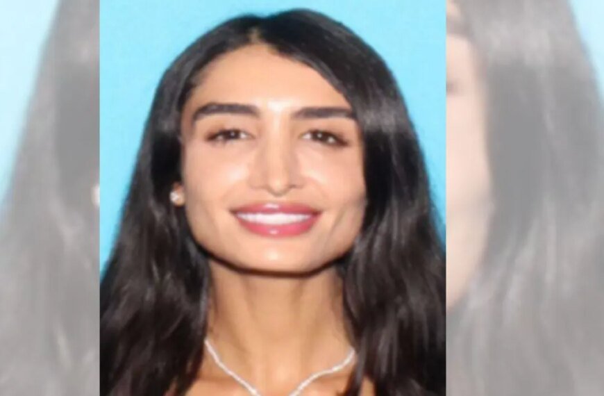LA Model and Influencer Charged in Dating App Related Burglary Cases