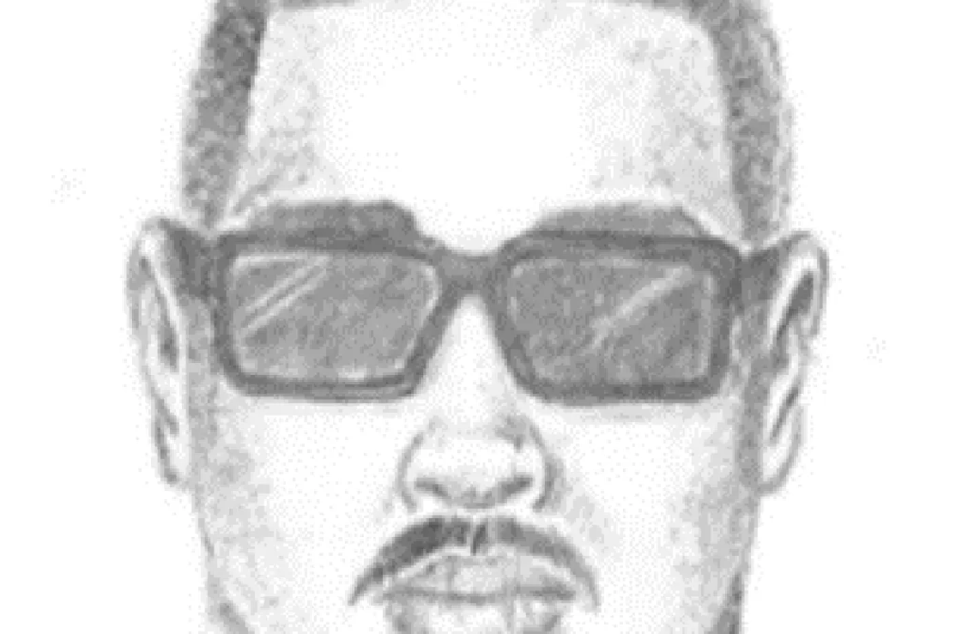LAPD Shares Sketch of Suspect in North Hills Kidnapping Case Involving Two Girls