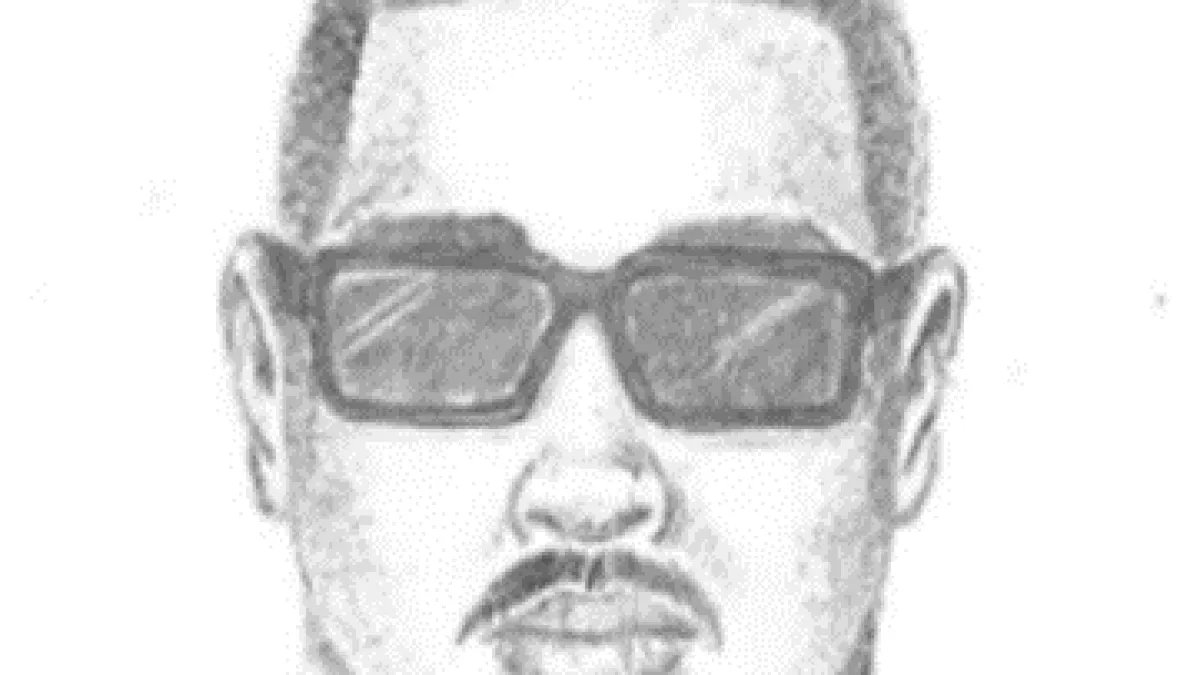 LAPD Shares Sketch of Suspect in North Hills Kidnapping Case Involving Two Girls
