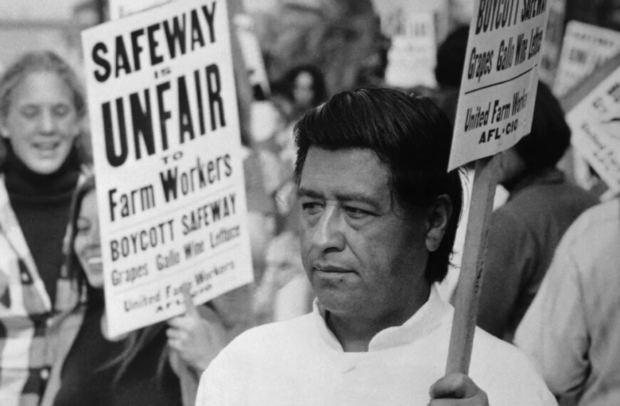 LAUSD Evaluates Educational Programs Following César Chávez Allegations