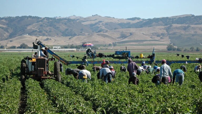 Los Angeles Celebrates Farm Workers Day After César Chávez Holiday Update