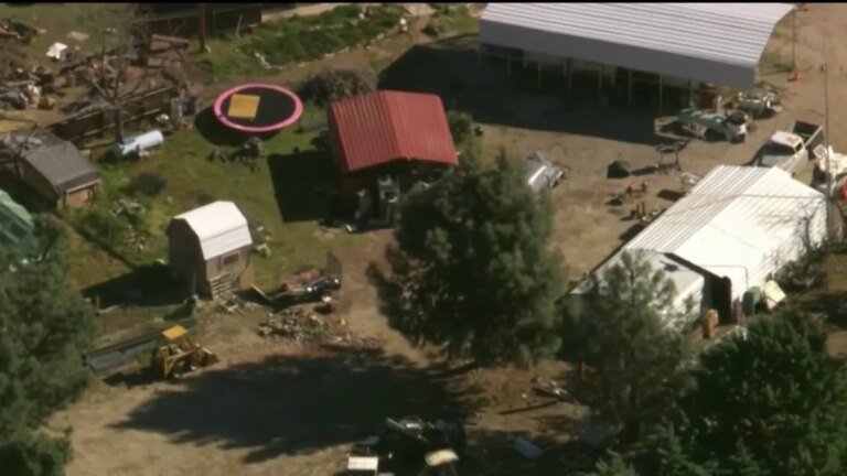 Many Cats and Dogs Rescued in Lake Hughes Are Looking for Their Forever Homes Today