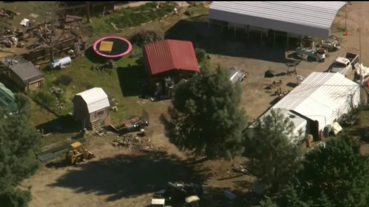 Many Cats and Dogs Rescued in Lake Hughes Are Looking for Their Forever Homes Today