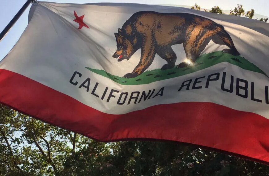 Meet the Newest Inductees in the California Hall of Fame for 2026