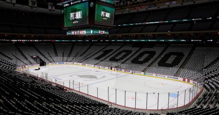 Minnesota NHL Reporter and His Three Children Tragically Lose Their Lives in House Fire, League Confirms