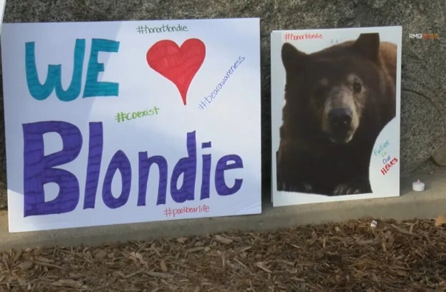 Monrovia Community Comes Together for a Memorial Walk in Honor of Euthanized Bear