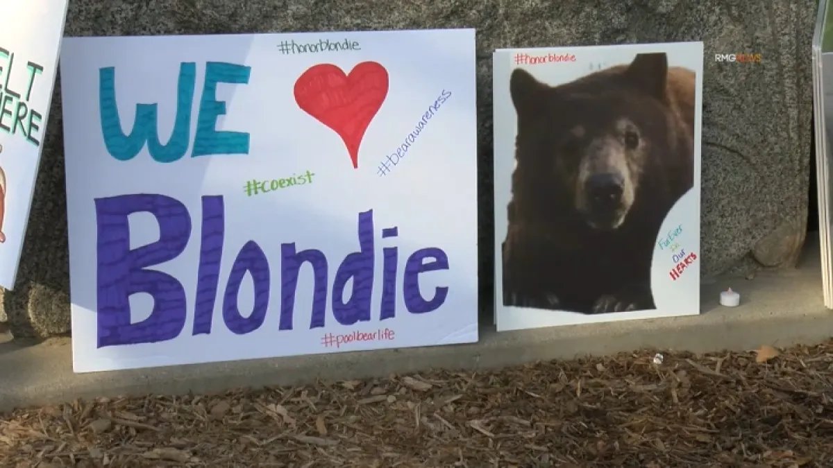 Monrovia Community Comes Together for a Memorial Walk in Honor of Euthanized Bear