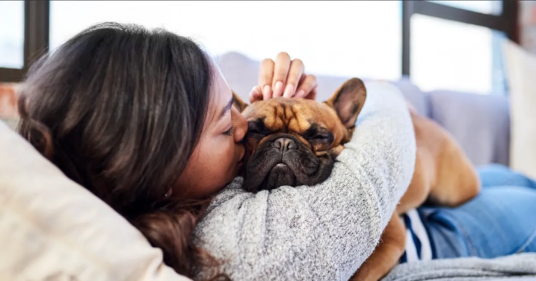 Pet Expenses Are Growing: Why More Owners Are Choosing Coverage for Unexpected Vet Bills