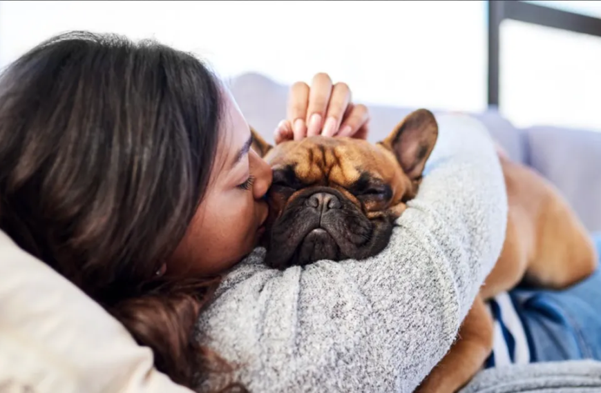 Pet Expenses Are Growing: Why More Owners Are Choosing Coverage for Unexpected Vet Bills