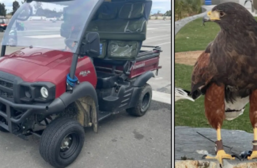Police Identify Suspect in Theft of Cart Carrying Hawks at SoFi Stadium
