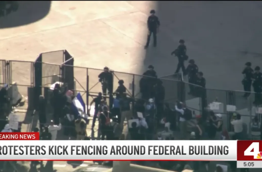 Protests in Downtown LA: Citizens Stand Against Federal Authorities in 'No Kings' Rally