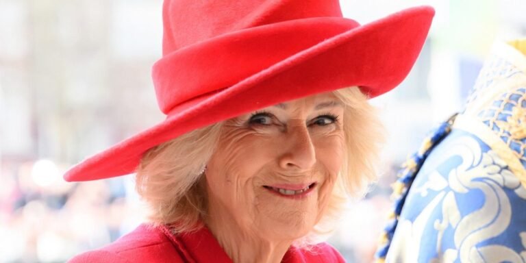 Queen Camilla’s Stunning 88-Year-Old Brooch with 203 Diamonds Symbolizes Royal Heritage