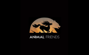 Ryan Reynolds and Jason Momoa Star in 'Animal Friends': A Fun R-Rated Live Action-Animation Comedy Coming Winter 2027