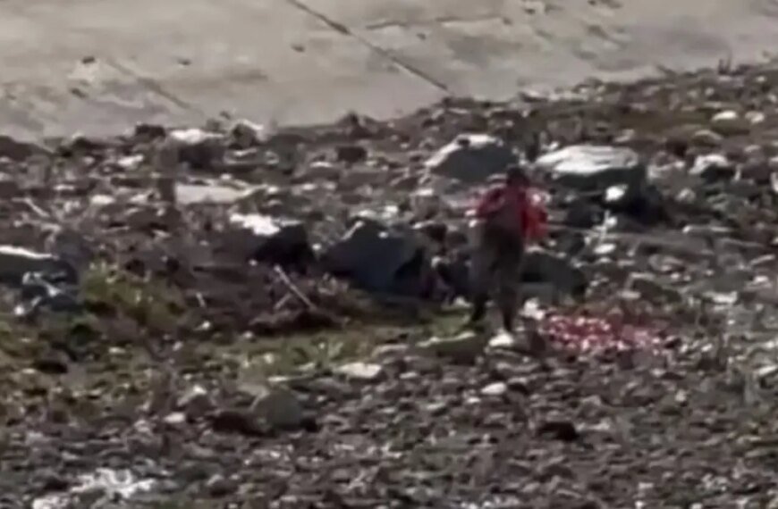 Safety and Ecological Concerns About Herbicide Use in Orange County Waterways