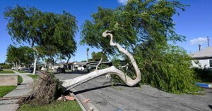 Santa Ana Winds Bring Strong Gusts and Warm Weather to Southern California