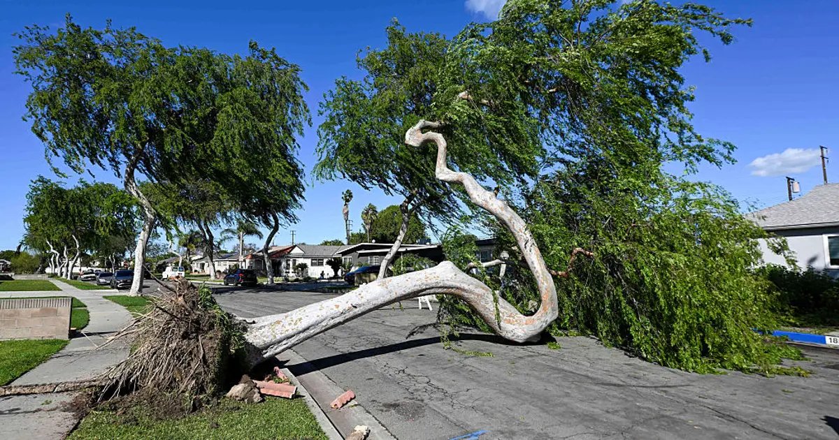 Santa Ana Winds Bring Strong Gusts and Warm Weather to Southern California