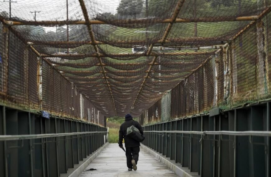 Shaikin: Creating a Walking Path to Celebrate Our City and Blue Heaven