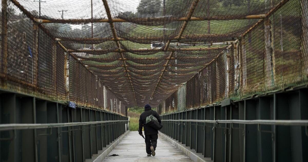 Shaikin: Creating a Walking Path to Celebrate Our City and Blue Heaven