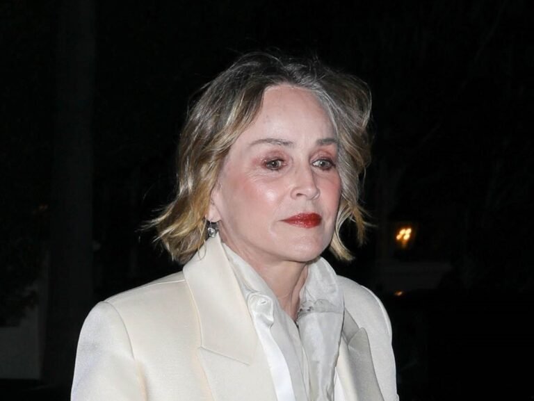 Sharon Stone, 68, Inspires Me to Swap My Black Purse for a Trendy Boho Bag